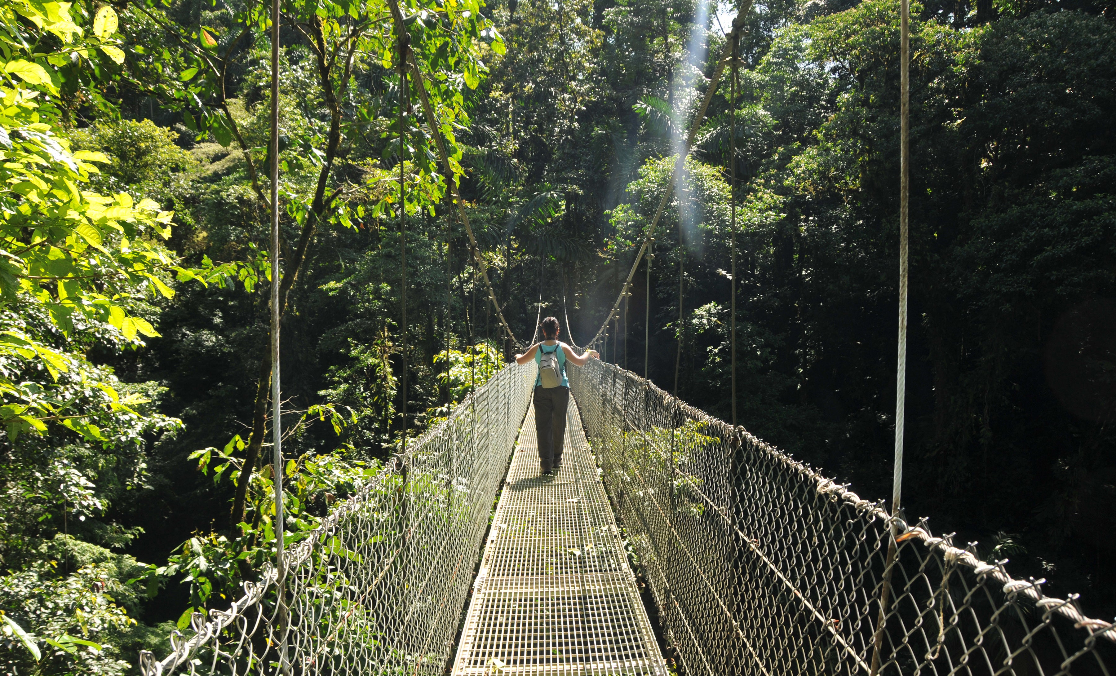 Arenal hanging bridge