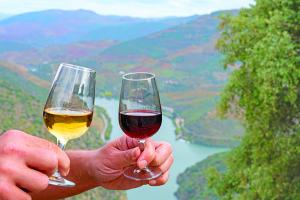 Glasses of Port in Douro Valley