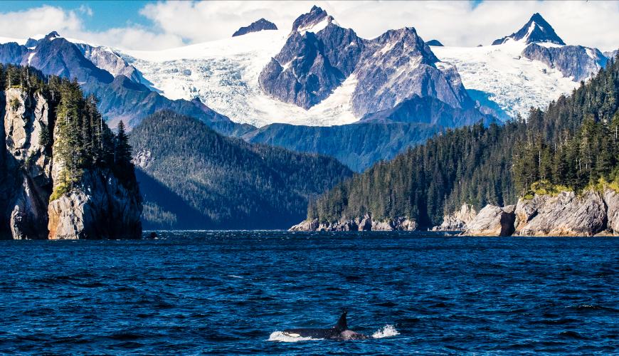 Mountains and Sea