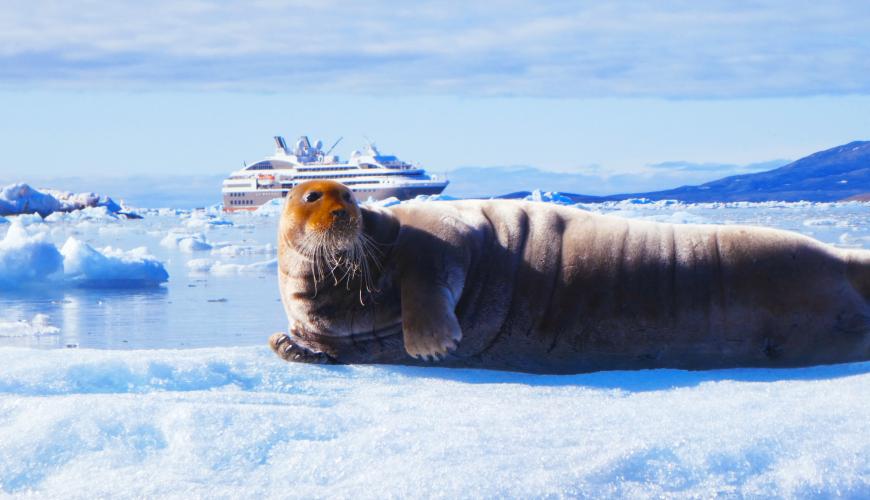 Seal