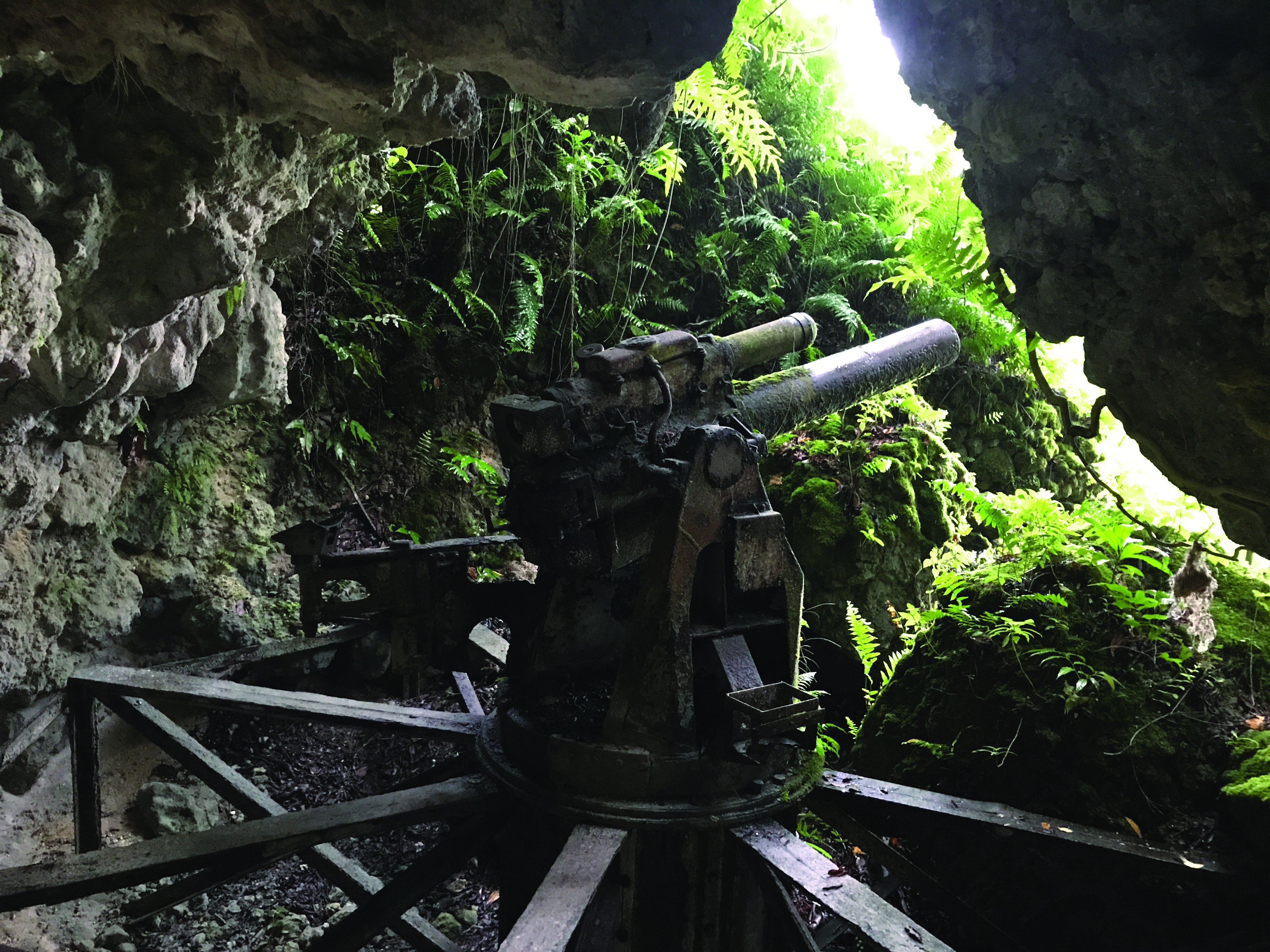 Peleliu Canon 