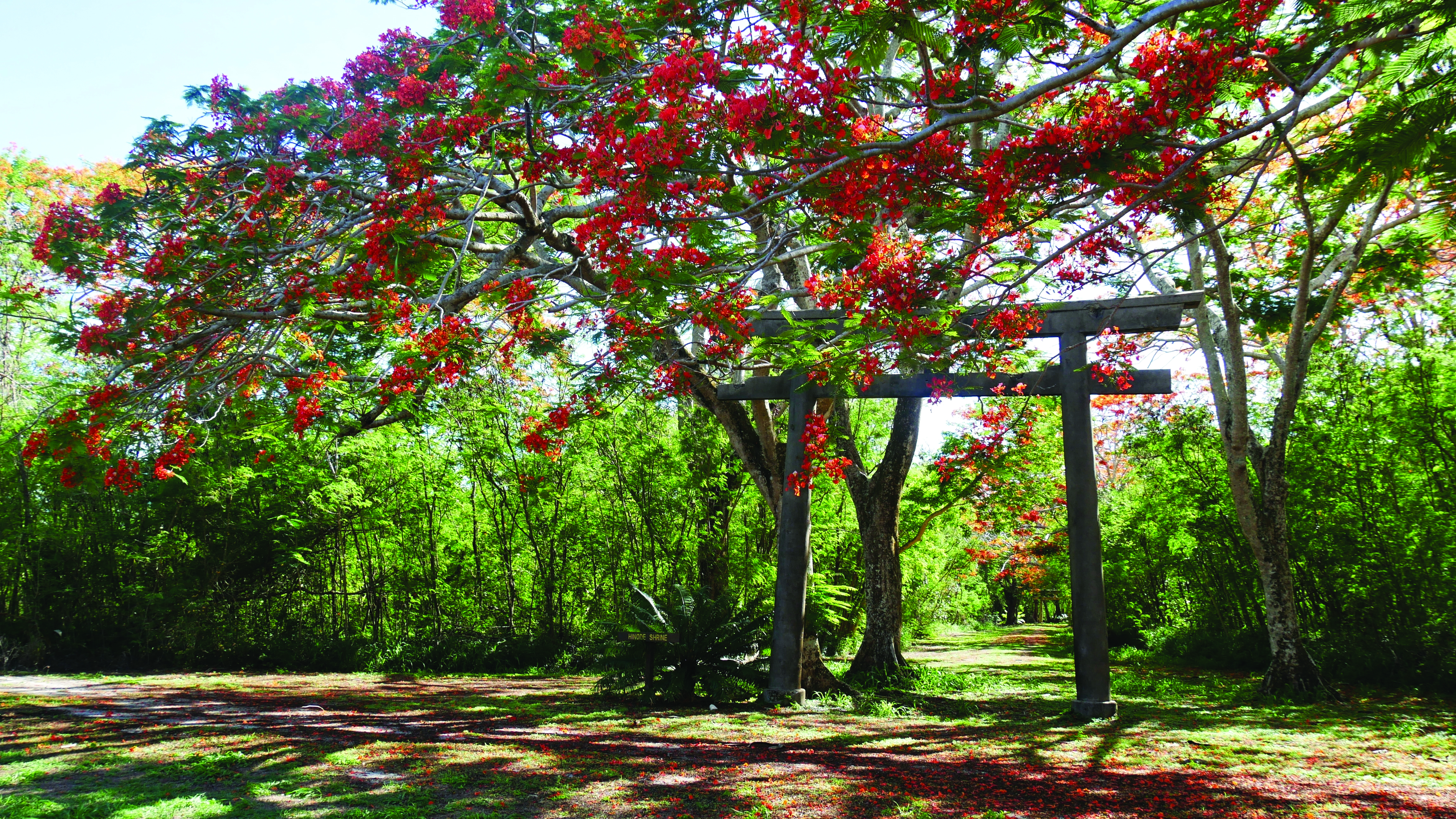 Tinian Shrine