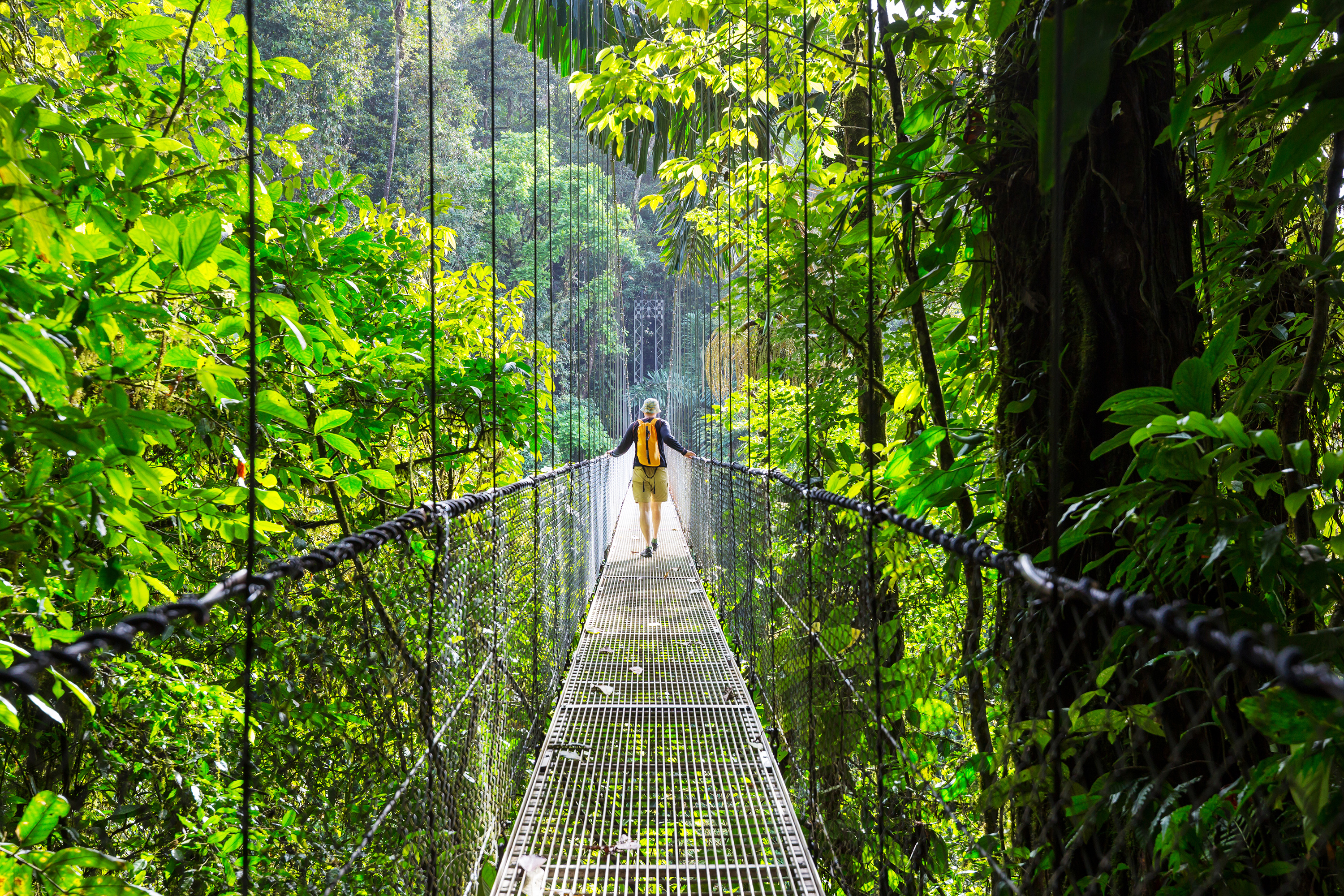 Arenal Bridge 