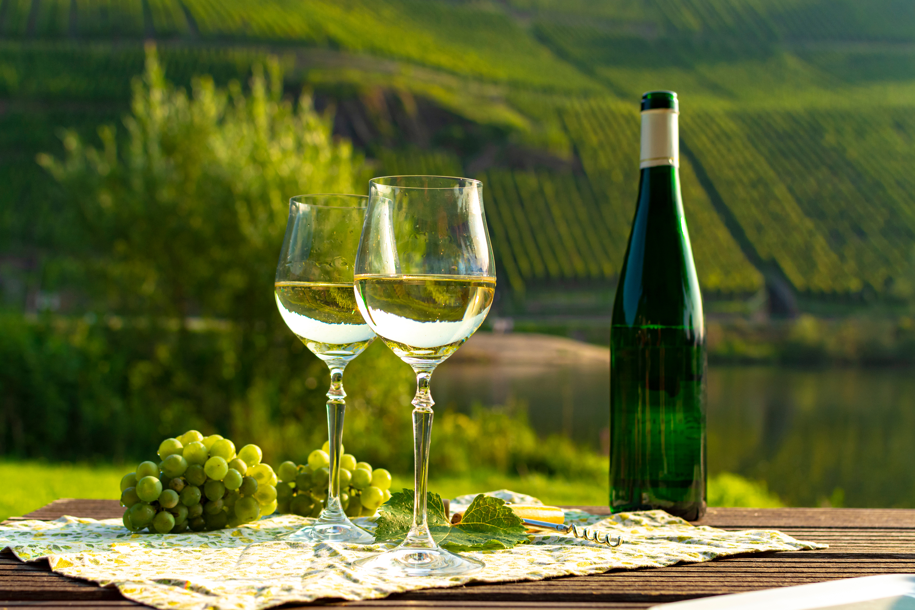 Mosel Valley