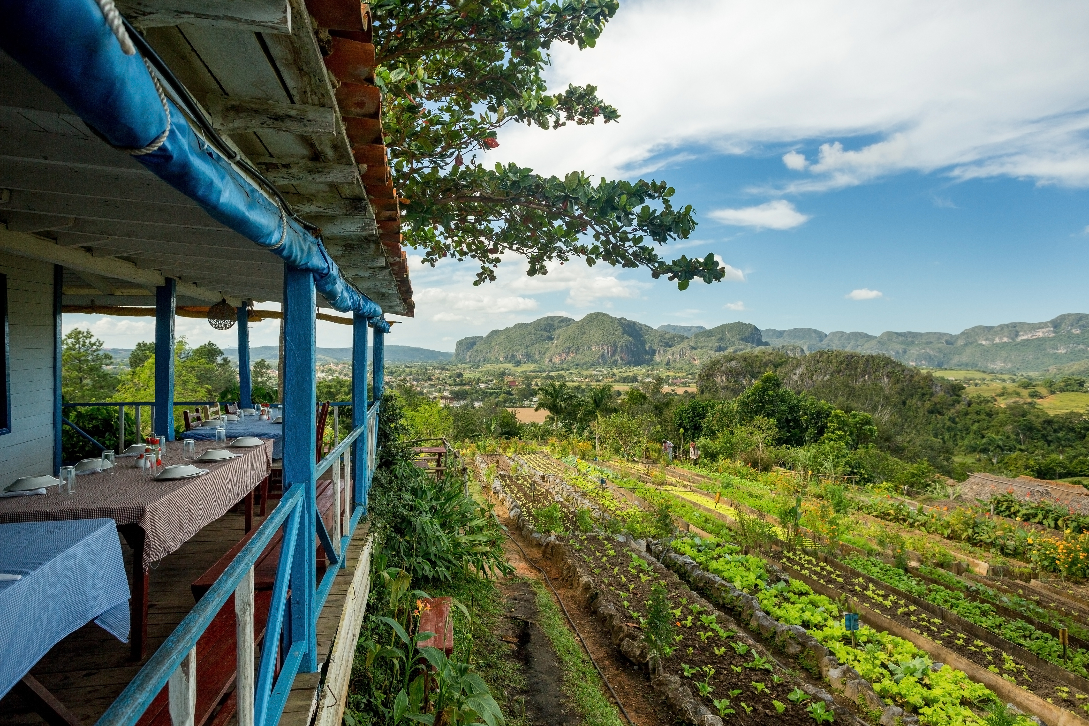 Rural Farm