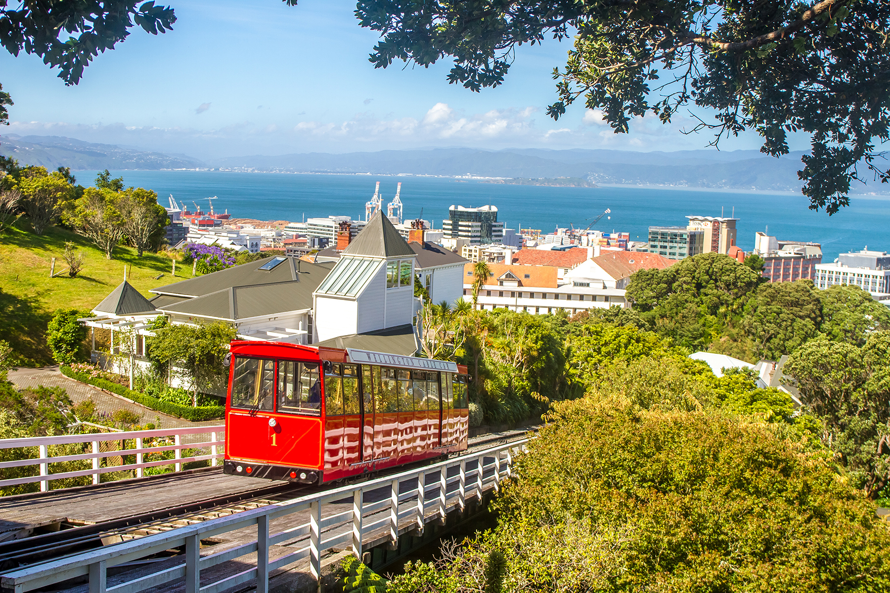 Wellington