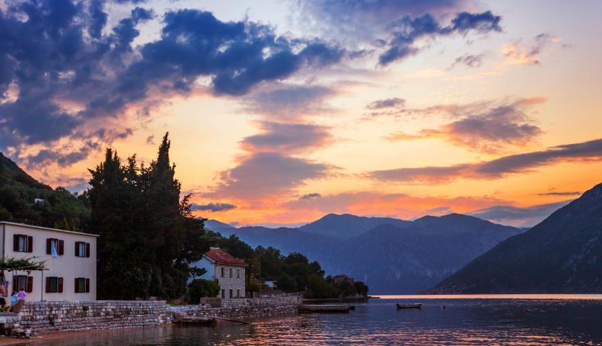 Montenegro connection