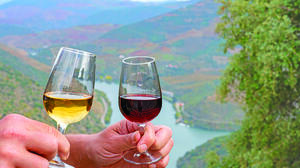 Glasses of Port in Douro Valley