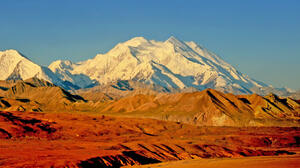 Denali National Park